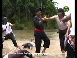 Seni silat cekak masa kini telah berkembang di seluruh semenanjung malaysia dengan jumlah cawangan di 12 buah negeri. Video Silat Cekak Malaysia Kompilasi Video Silat Youtube