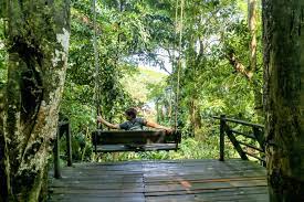 In this penang travel video we take you on a tour of the spice garden and show you. Tropical Spice Garden Tanjung Bungah What To Expect