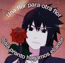 Reviewed in the united states on april 10, 2017. Una Flor Para Otra Flor Susano Ojala Pronto Hagamos El Amor Romance Meme On Me Me