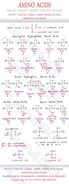 amino acid chart mcat cheat sheet study guide