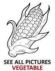 All corn coloring page sheet best pages kids printable indian candy free thanksgiving activities. Printable Corn Picture To Download And Color