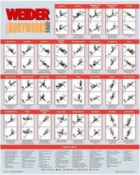 Weider Total Bodyworks Exercise Chart Google Search Gym