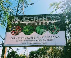 Maybe you would like to learn more about one of these? Hernandez Nursery Home Facebook