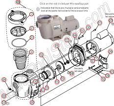 Rinsing the pool to remove any acid or tsp residue; Pentair Swimming Pools Whisperflo Pool Pump