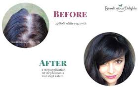 Dye Your Gray Hair Chocolate Brown Using Henna Henna Before After Pics Henna Hair Dyes Grey Hair Roots Grey Hair Dye
