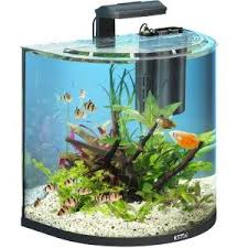Http Juwel Nano Aquarium Kaufen De Aquarium Aquarium Set Aqua Art