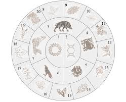 The miracle box may refer to: Miraculous Bluelioncupcake Bugaboosandbees