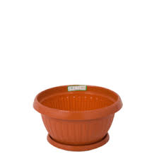 Tanaman hias ini bisa ditanam dengan ditempel pada batang, dinding atau di dalam pot. Jual Pot Plastik Bunga Tanaman Boyolali Arsip Keranjang Plastik Tempat Sampah Plastik Pallet Plastik Container Box