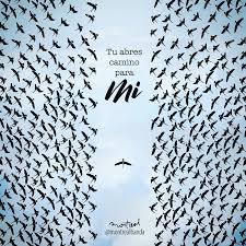 2 é uma adaptação da série espanhola ana y los 7, produzida pela la 1 entre. Pin On Fe