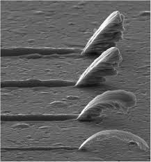 2017 Microscopy Today Innovation Awards