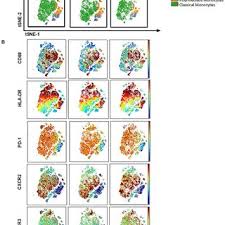 Isaiah W. Bloom's research works