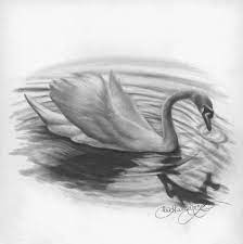 Graphite Pencil Drawing Basics 101 Pencil Drawings Of Animals Graphite Drawings Pencil Drawings