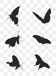 Butterfly with transparent wings outlines from side view free icon. Butterfly Outline Png Vector Psd And Clipart With Transparent Background For Free Download Pngtree