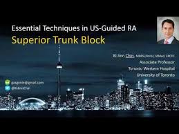 Image result for Superior Trunk Block