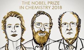 Frances H Arnold, George P Smith and Gregory P Winter win Nobel prize in  chemistry