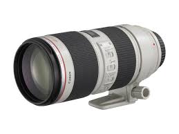 Canon Zoom Lens Ef 80 200mm 1 2 8 L Zoom Lens And Digital Photography Dslr Lenses Canon Lens Telephoto Zoom Lens