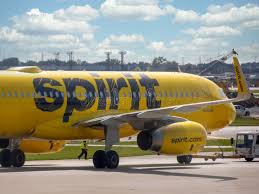 Image result for Natural Yellow 2000 Fleet