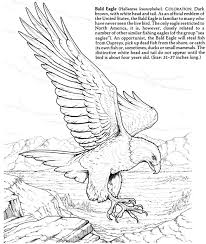 Pin By Mel Turnbull On Coloring Pictures And Stuff Eagle Sketch Bird Coloring Pages Eagle Drawing