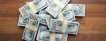 Image result for money in a knapsack