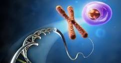 MedlinePlus: Chromosomes & mtDNA