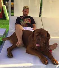 Başarılar genel bakışında oyuncunun tüm ünvanları gösteriliyor. Pin Van Chamberofsoccer Op Lionel Messi