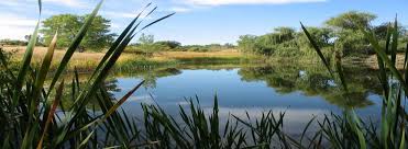 I used a calculator to determine pond is approx 200 gallons. Home Two Ponds U S Fish And Wildlife Service