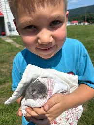 Protecting Animals from Freezing Temperatures