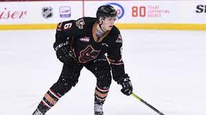 Nashville predators defenceman luke prokop has become the first active national hockey league player to publicly come out as gay. Ldztslotl4yk8m