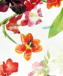 Bourj hammoud (or burj hammud) (arabic: Issue 17 Flowers Bidoun