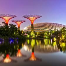 Check spelling or type a new query. Wisata Flora Dan Fauna Yang Nyaman Di Singapura