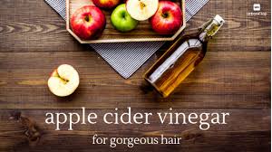 What about the beautiful fragrance of shampoo? Apple Cider Vinegar For Hair Why Use It And How Part 2 The Urban Guide