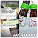 Hasil gambar untuk agen daun bungkus tiga jari el iryani