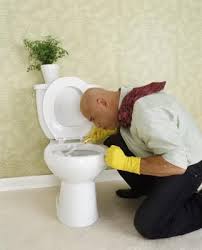 What Is The Black Stuff Around The Rim Of Toilets Hunker Cleaning Toilet Ring Toilet Bowl Stains Toilet Stains