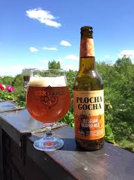 Plocha Gocha Belgian Blond Ale Browar Gloger 2018 05 01 Corona Beer Bottle Corona Beer Beer Bottle