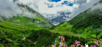 On the fauna front, it offers direct interactions with the himalayan black beers, snow leopard and blue sheep. Uttarakhand Valley Of Flowers Dehradun City Etravelfly
