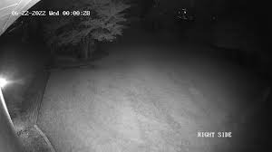 Can someone explain this? Security cameras picked up motion on my ...