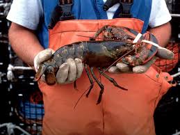 نتیجه جستجوی لغت [lobster] در گوگل