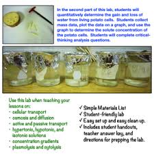 See full list on untamedscience.com Cell Transport Lab Osmosis And Diffusion By Amy Brown Science Tpt