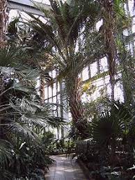 Entdeckt im botanischen garten in outdoor: Gruson Gewachshauser Wikipedia