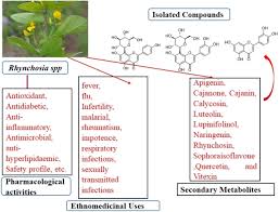 Image result for Antherotoma naudinii