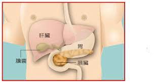 手術的併發症 ： 胰臟癌手術屬於重大且複雜的開刀，手術過程一般需費時4～7小時。 手術期間的死亡率： 2~5%，相關併發症: å¥åº·åˆŠç‰© å…¨æ°'å¥åº·åŸºé‡'æœƒ