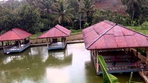 Dua buah gambar saya sajikan , gambar denah dan gambar perspektif kolam ikan mungil. Suasana Tempat Makan Di Atas Kolam Ikan Youtube