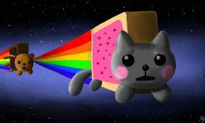 Pin On Nian Cat