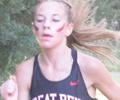 Cardinal softball loses twin bill