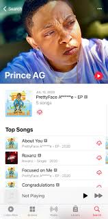 Prince AG