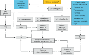 La sincope è causata da una riduzione improvvisa del flusso sanguigno al cervello. Organigrama De Decisao No Caso De Sincope De Provavel Etiologia Cardiaca Download Scientific Diagram
