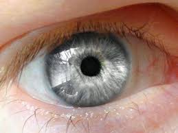 Silver Eye Gozler Goz Rengi Goz Boyama