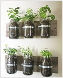 krauterregal mason jar herb garden mason jar herbs hanging herb garden