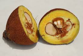 Image result for Pentadesma