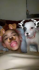 Lost Dog in Tennessee